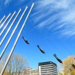 Oslo City Walks - The City of Contrasts - An In-Depth Look at the Tour Experience