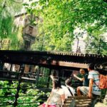 Oslo Panorama El-Bike Tour - Practical Details and What Travelers Should Know