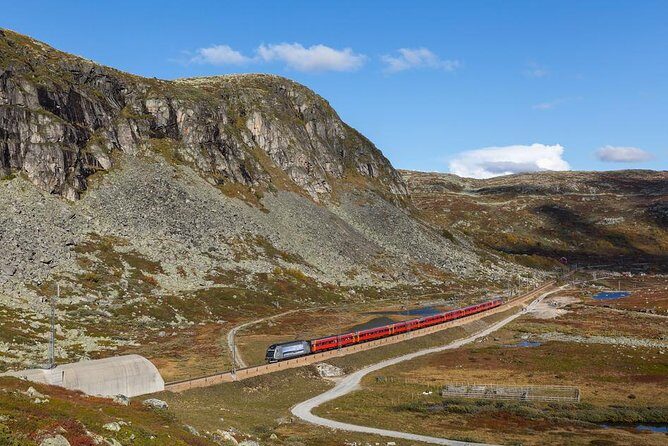 Oslo To Bergen Self-Guided Full Day Trip with Flåm Railway And Fjord Cruise - What Makes This Tour Stand Out?