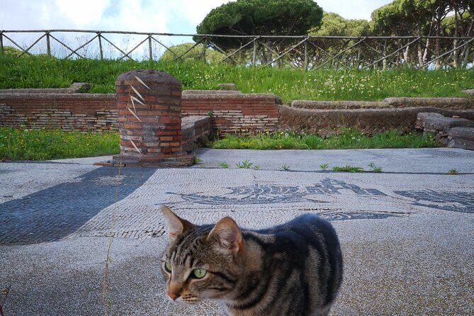 Ostia Antica archeological park with Italian GELATO - What We Loved About This Tour