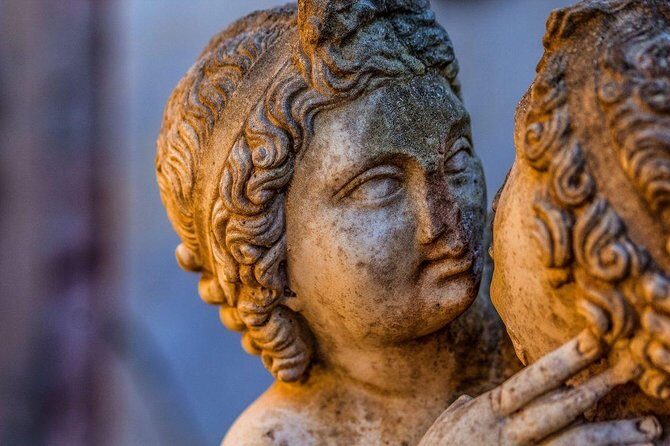 Ostia Antica - Half Day Private tour with Driver and Guide - Who Should Book This Tour?