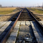 Oswiecim: Auschwitz-Birkenau Skip-the-Line Entry Tickets - What Sets This Tour Apart
