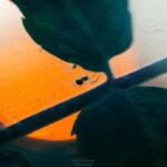 Oulu: Hietasaari Nature Tour with Local Guide - The Value of the Experience