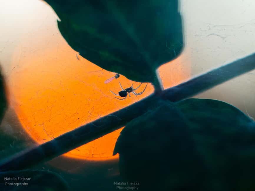 Oulu: Hietasaari Nature Tour with Local Guide - The Value of the Experience