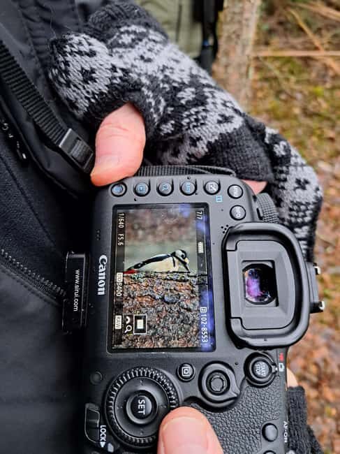 Oulu: Hietasaari Wildlife Hike with Nature Guide - The Finnish Picnic and Cultural Touch