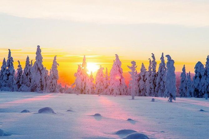 Ounasvaara and Ranua Zoo - Who Should Consider This Tour?