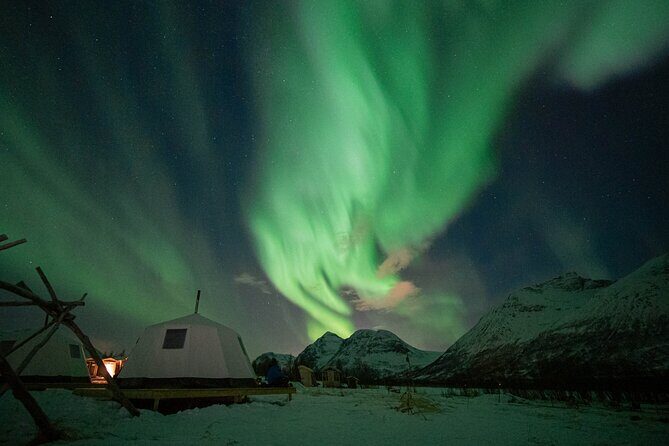 Overnight Stay in Lavvu and Reindeer Feeding - The Complete Experience: What to Expect