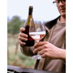 Ozzano Emilia: Guided Cellar Walking Tour with Wine Tasting - A Detailed Breakdown of the Tour Experience