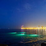 Paddle surf at night with light & drink -photos &videos - An In-Depth Look at the Experience