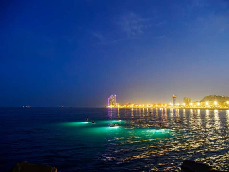 Paddle surf at night with light & drink -photos &videos - An In-Depth Look at the Experience
