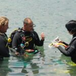 PADI Advanced Diving Course in Gran Canaria - How the Itinerary Breaks Down