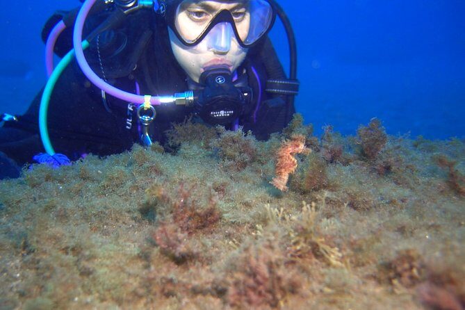 PADI Advanced Open Water Diver Course (AOWD) - 2 days - A Deep Dive into the Details