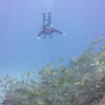 PADI Open Water Diver Course - The Best Fit for This Course
