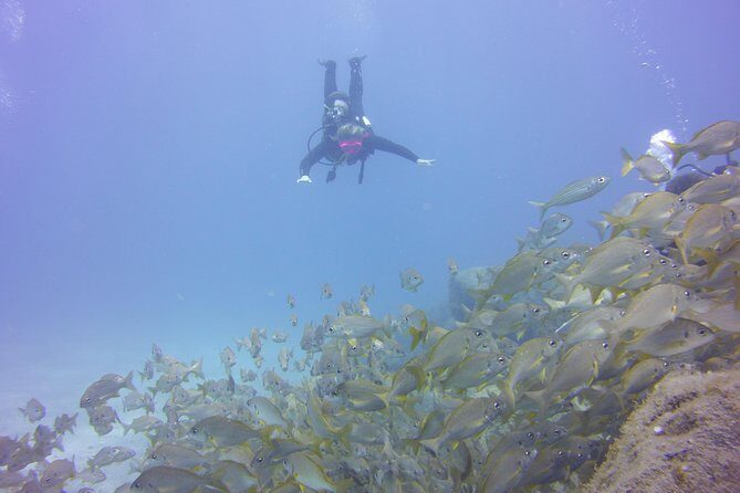 PADI Open Water Diver Course - The Best Fit for This Course