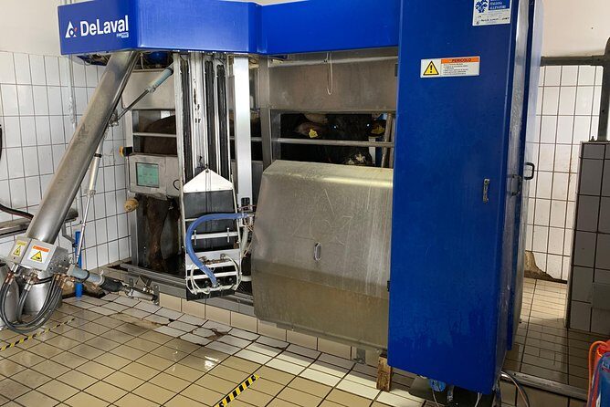 PAESTUM and POMPEI - Practical Details