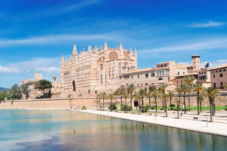 Paguera or Santa Ponsa: Speedboat Cruise to Palma - The Free Time in Palma: How to Make the Most