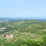 Pagus Wine Tours® - A taste of Amarone - Half day wine tour - Who Will Love This Tour?