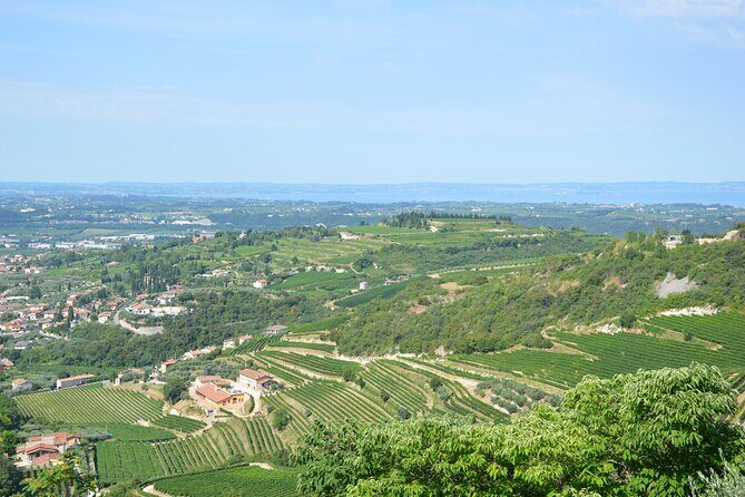 Pagus Wine Tours® - A taste of Amarone - Half day wine tour - Who Will Love This Tour?