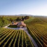 Painting session in the vineyard and Prosecco DOCG tasting - Who Should Book This Tour?