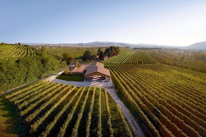 Painting session in the vineyard and Prosecco DOCG tasting - Who Should Book This Tour?