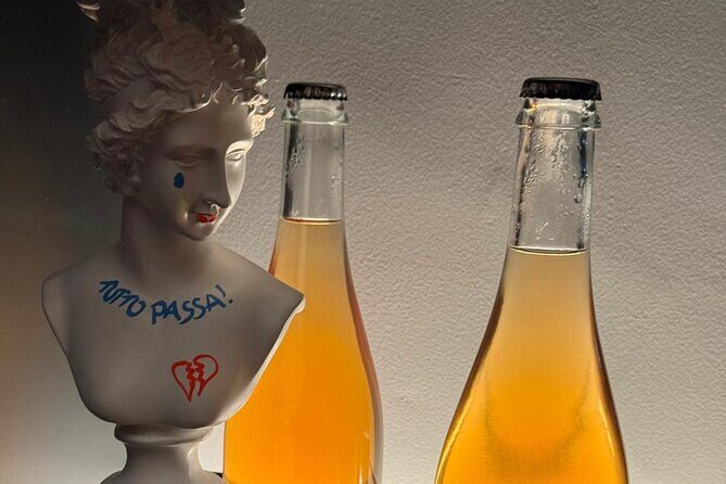 Palermo Rebel Wines Tasting-Local Bites in the City Center - Who Will Love This Tour?