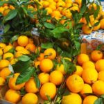 Palermo: Street Food Walking Tour with Local Guide & Tasting - What Makes This Tour Stand Out