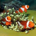 Palma Acquarium with Transfer - Detailed Breakdown of the Itinerary and the Attractions