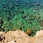 Palma de Mallorca: Small Group Tour by Locals in Hidden Coves - Who Will Love This Tour?