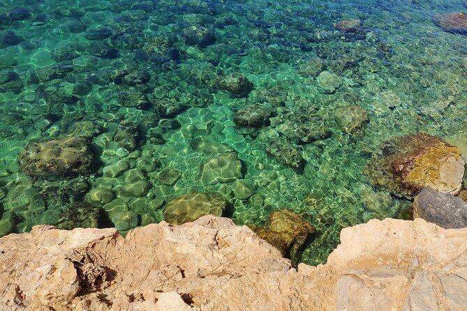 Palma de Mallorca: Small Group Tour by Locals in Hidden Coves - Who Will Love This Tour?