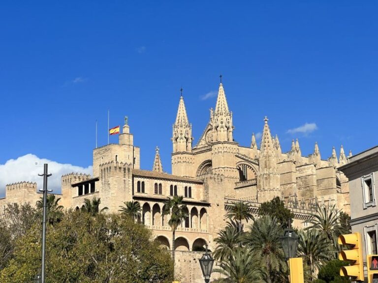 Palmas sightseeing highlights in a private and exclusive way - Practical Details and Tips