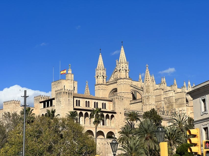 Palmas sightseeing highlights in a private and exclusive way - Practical Details and Tips