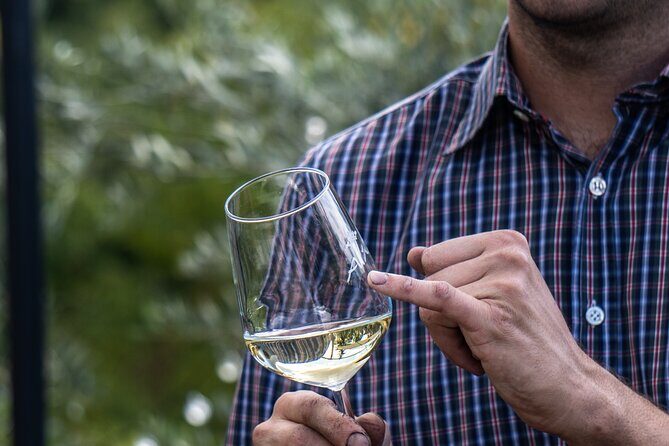 Panoramic wine tasting in Oltrepò Pavese - Why This Tour Is Worth Considering