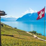 Panoramic Wine Tour From Montreux - Key Points