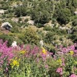 Pantalica Nature Reserve Walking Tour - FAQ