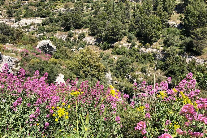 Pantalica Nature Reserve Walking Tour - FAQ