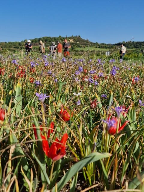 Paphos Cyprus Troodos Jeep safari in English in French too - Key Points