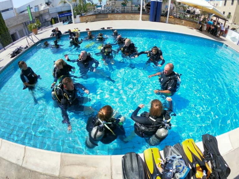 Paphos: Discover Scuba Diving Half-Day Tour - The Value and Practicalities