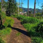Paradise Valley - Levada Walk - Who Would Love This Tour?
