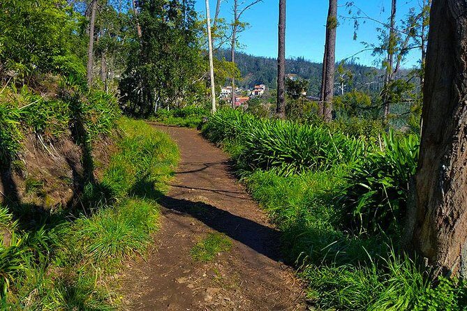Paradise Valley - Levada Walk - Who Would Love This Tour?