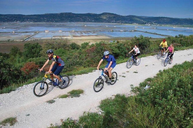 Parenzana Trail Biking Experience from Koper - The Experience: A Deep Dive into the Itinerary