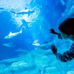 Paris: Aquarium de Paris Entrance Ticket - What’s in the Aquarium?