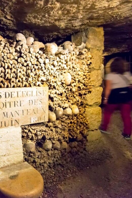 Paris: Catacombs Ticket and Seine River Cruise - Exploring the Experience: What to Expect