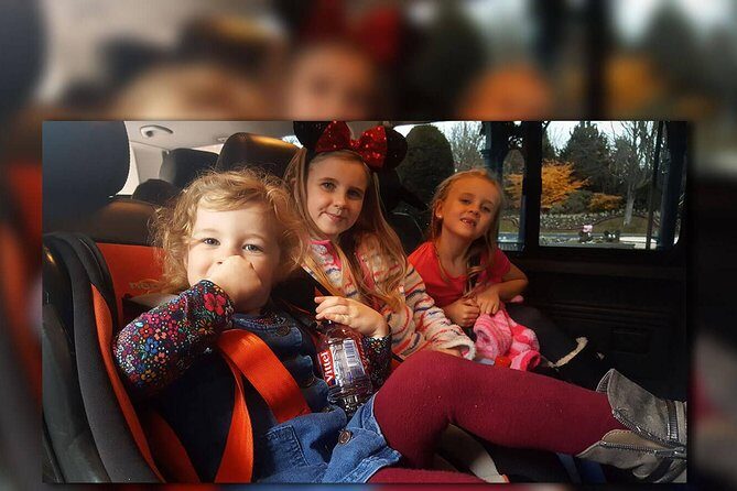 PARIS - Euro Disney - PARIS Two Way Private Shuttle Transfer - The Experience According to Reviewers