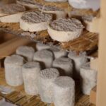 Paris Living Museum of Cheese Ticket with Tasting Included - Frequently Asked Questions