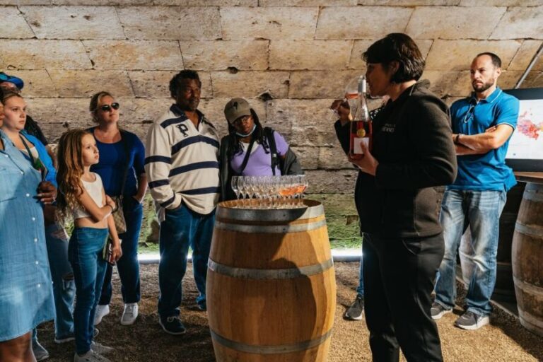 Paris: Loire Valley Day Trip with a Local - Customization and Optional Activities