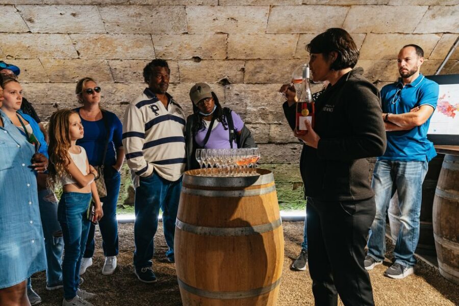 Paris: Loire Valley Day Trip with a Local - Customization and Optional Activities