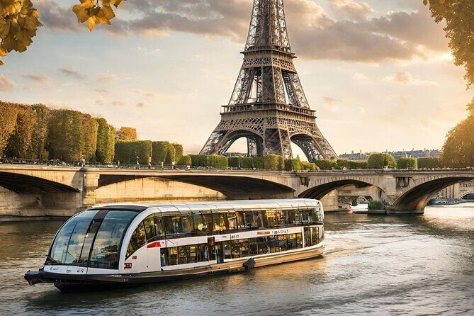 Paris Olympic Venue Highlight: Car Tour - Who Will Love This Tour?