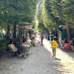 Paris Orsay Museum and Rodin Museum Combo Ticket - Deep Dive into the Museums