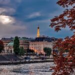 Paris Overview tour with Driver - Who This Tour is Perfect For