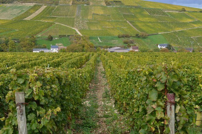 Paris Wine Day Tours exclusive wine tour in the Sancerre area - Practicalities: What You Need to Know